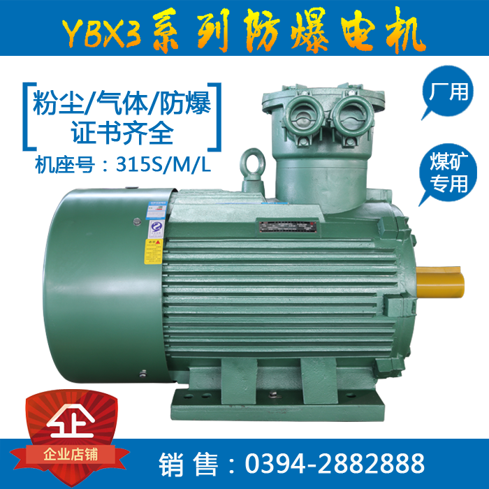 YBX3-315S-2-110KW