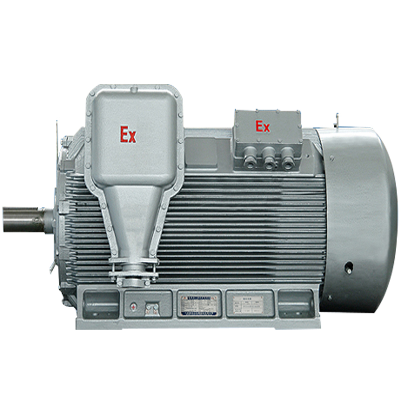 YBX3 explosion-proof high-voltage motor