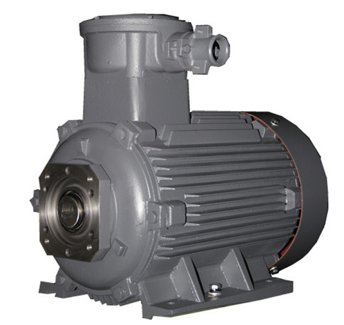 Explosion proof locomotive motor